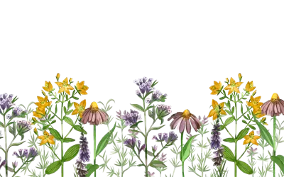 عکس گل های آبرنگ در یک ردیف