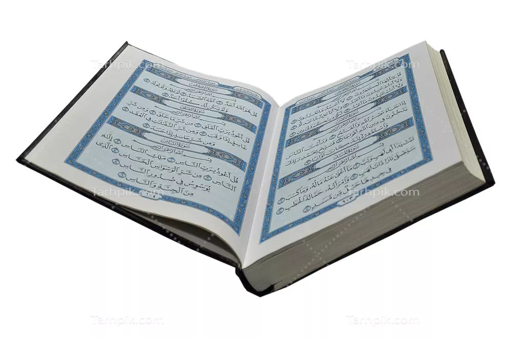 سایر تصاویر