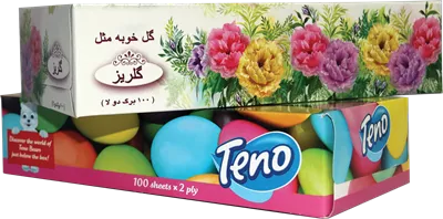 عکس دوربری مجموعه دو عددی دستمال کاغذی