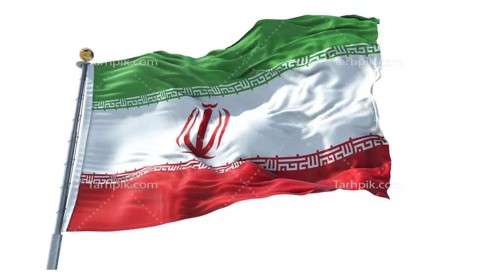 سایر تصاویر