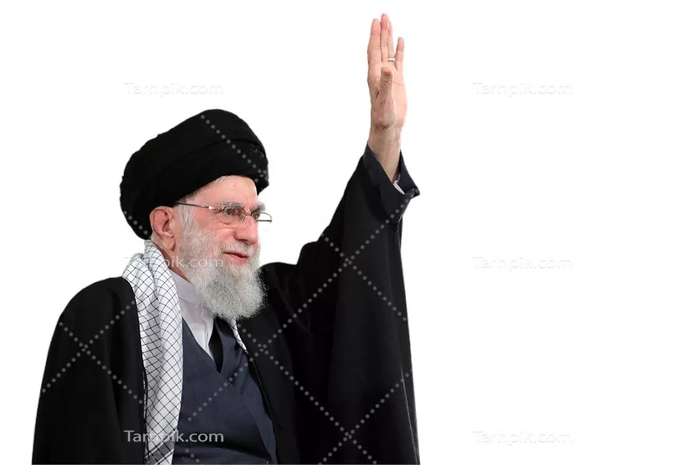 سایر تصاویر