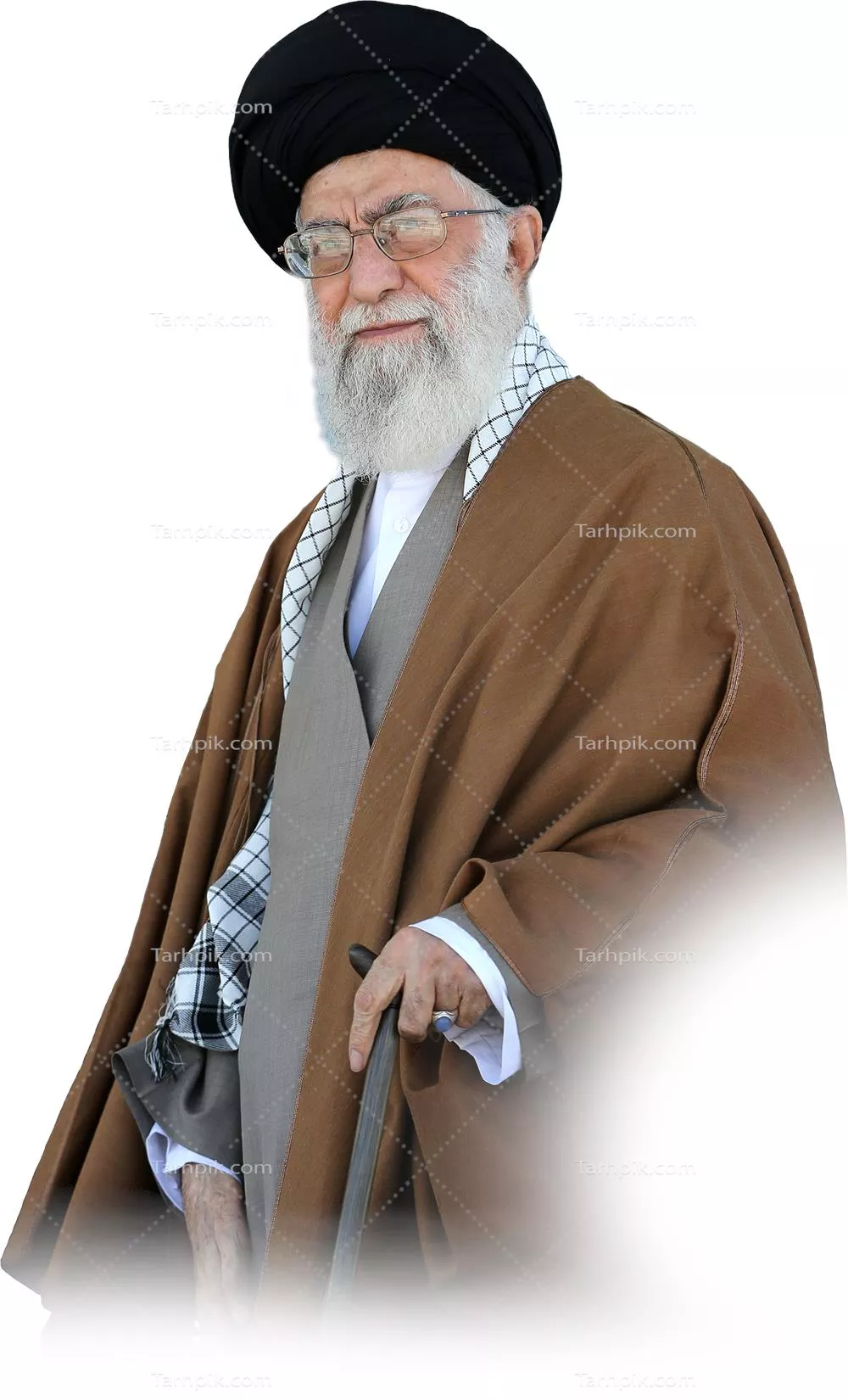 سایر تصاویر