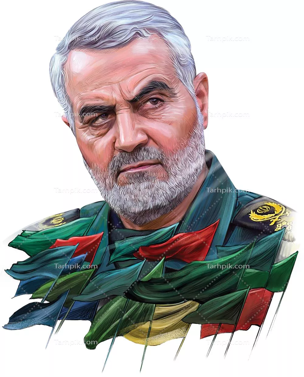 سایر تصاویر