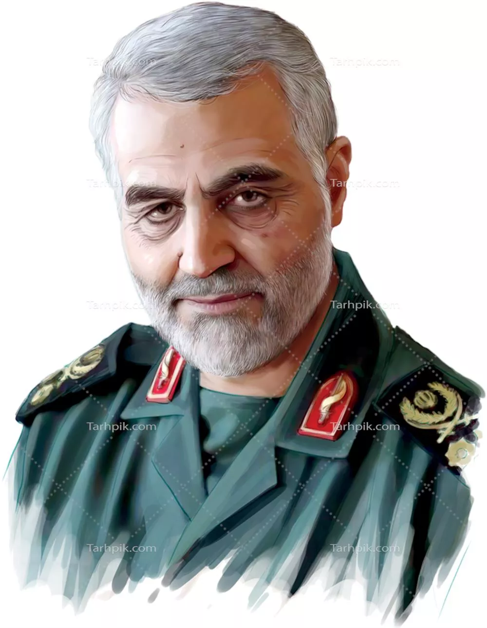 سایر تصاویر