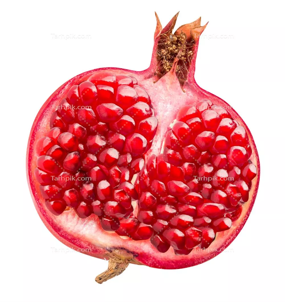 سایر تصاویر