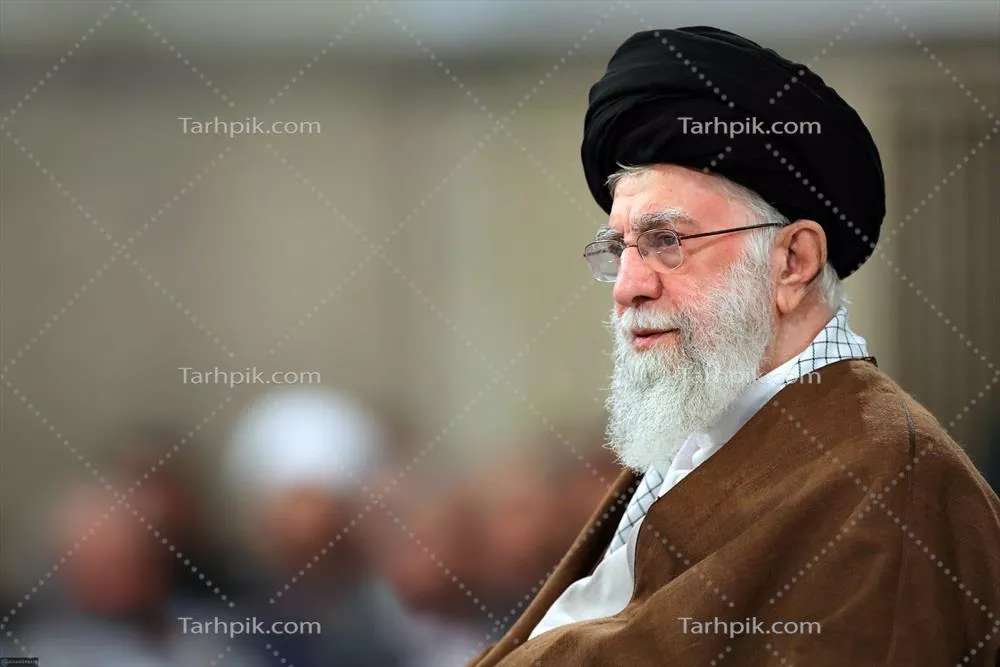 سایر تصاویر