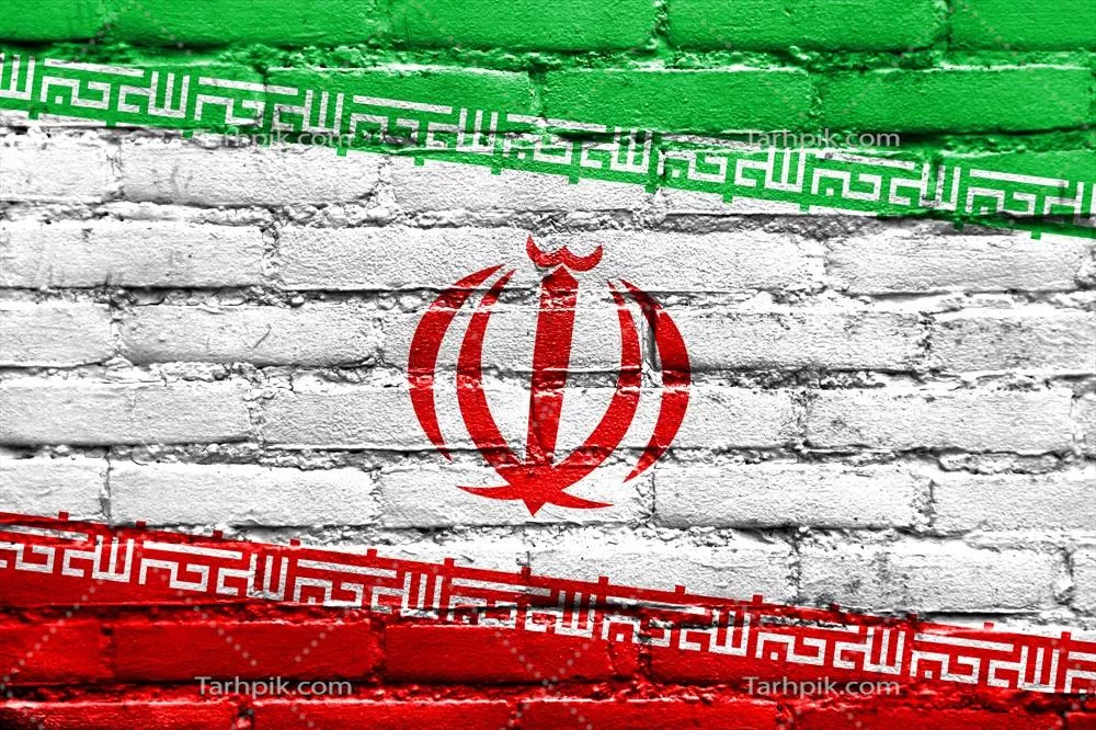 سایر تصاویر