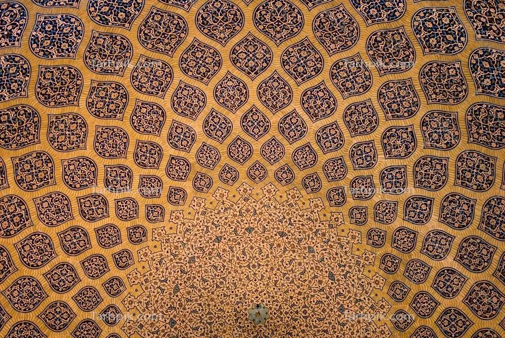 سایر تصاویر