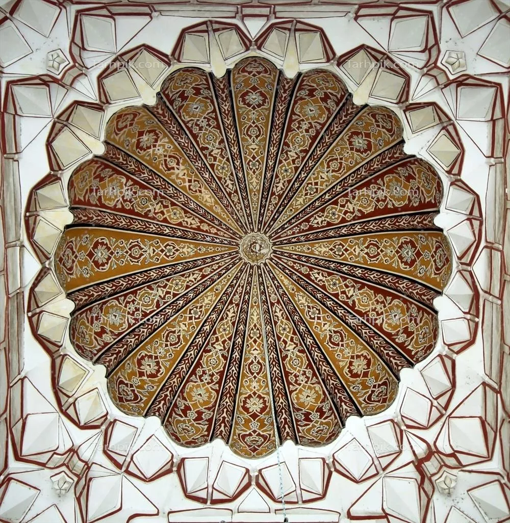 سایر تصاویر