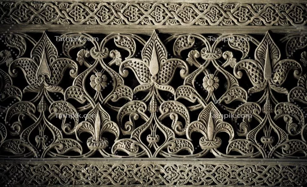سایر تصاویر