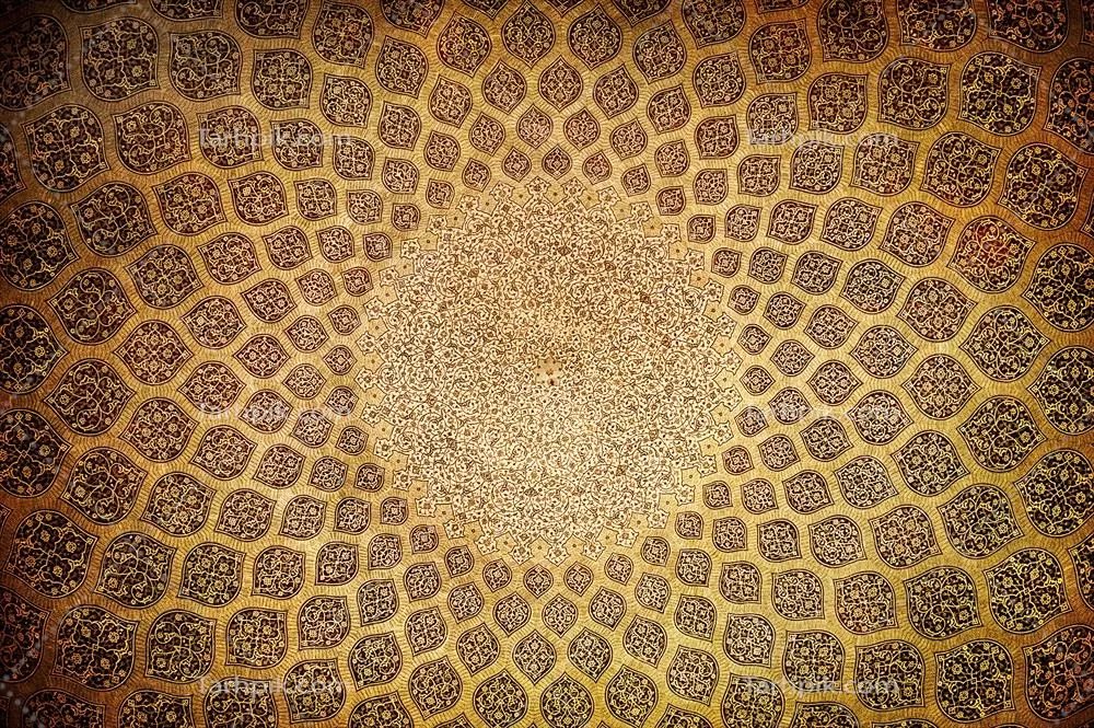 سایر تصاویر
