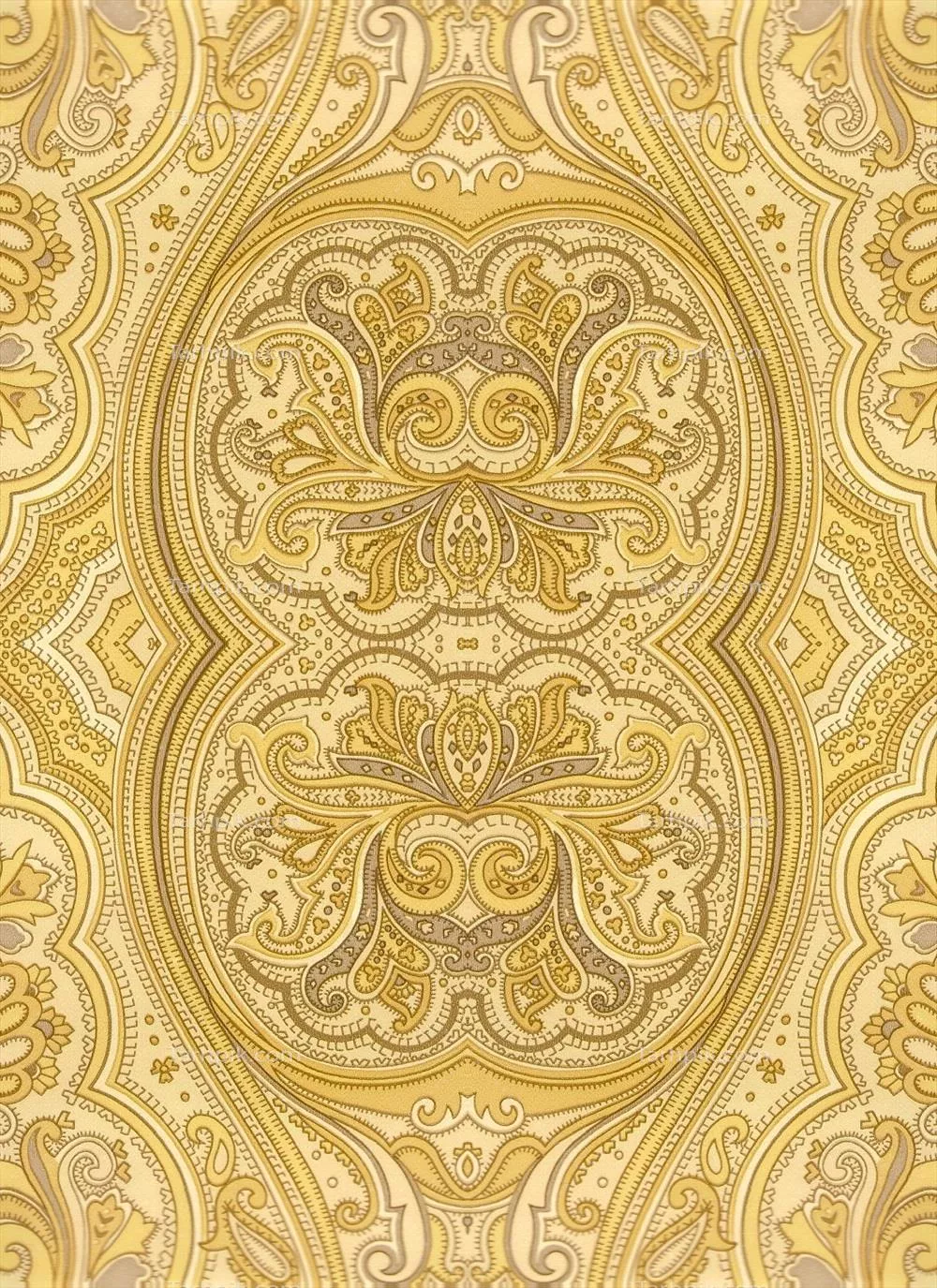 سایر تصاویر