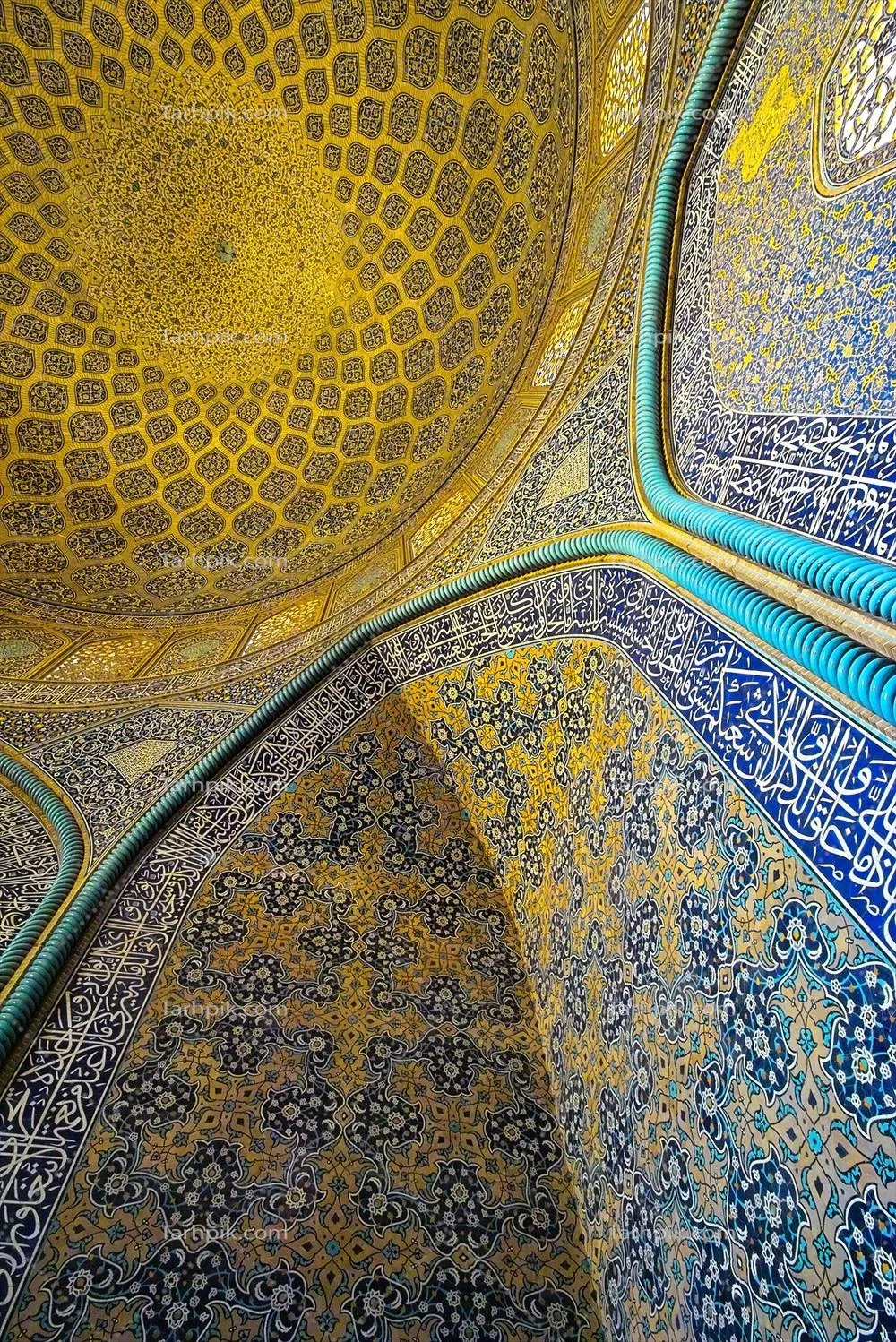 سایر تصاویر