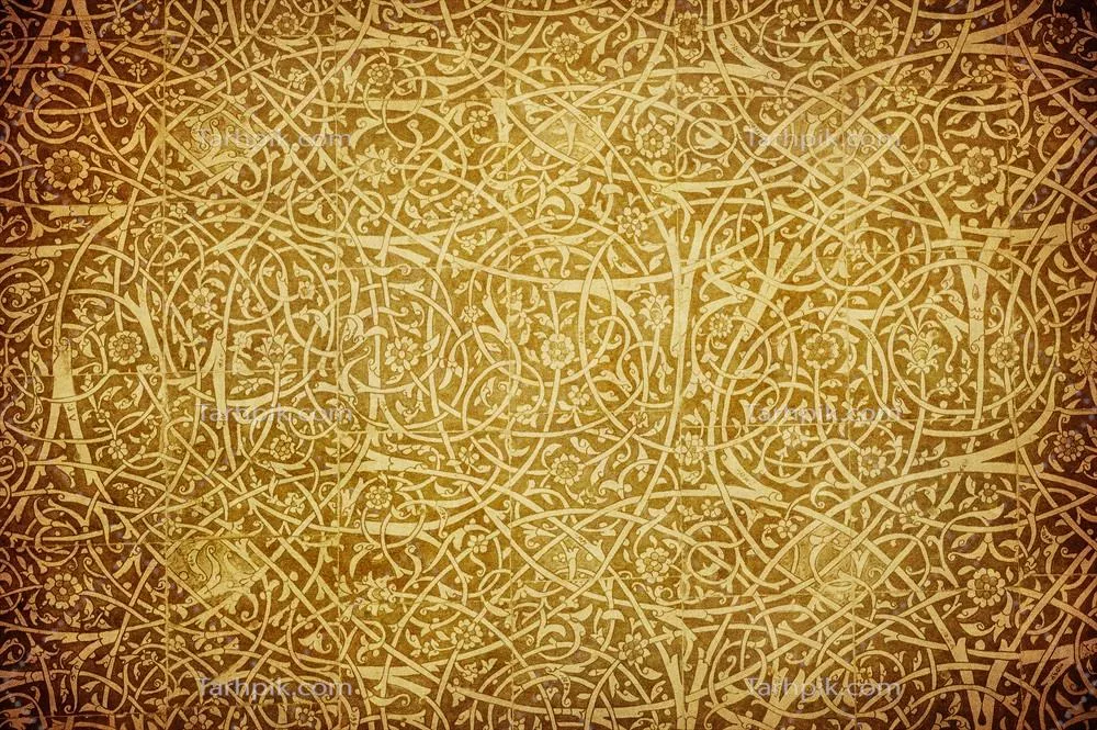 سایر تصاویر