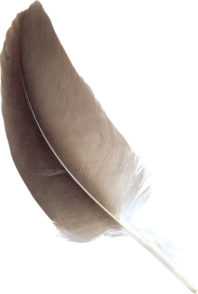 عکس دوربری شده پر مشکی