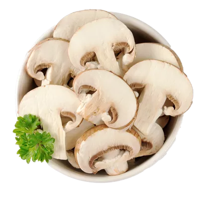 عکس دوربری شده ظرف پر از قارچ های خوراکی ریز شده