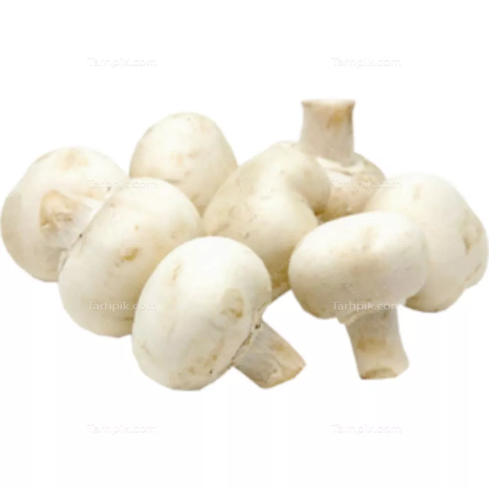 عکس دوربری قارچ دکمه ای خوراکی