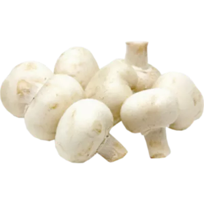 عکس دوربری قارچ دکمه ای خوراکی