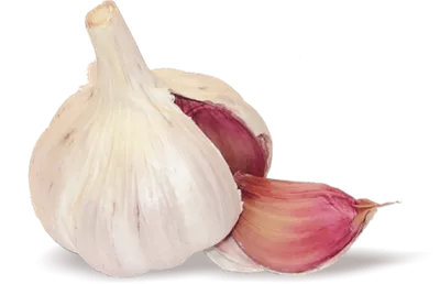 عکس سیر دوربری شده