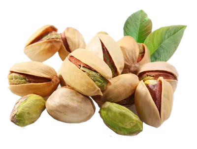 عکس دوربری پسته و مغز پسته