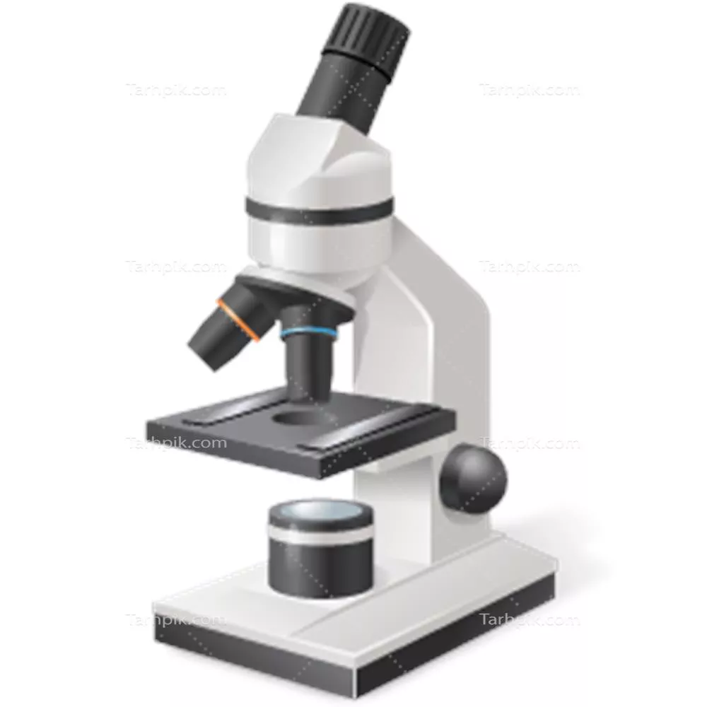 سایر تصاویر