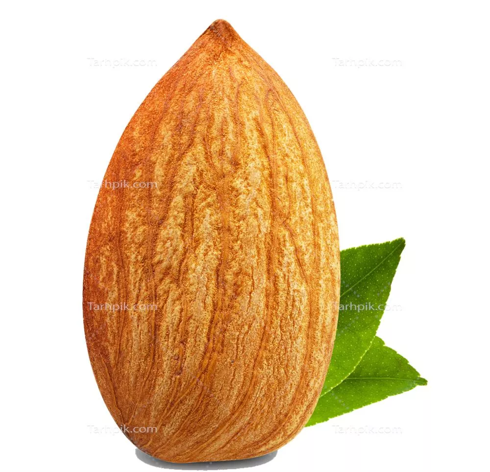 سایر تصاویر