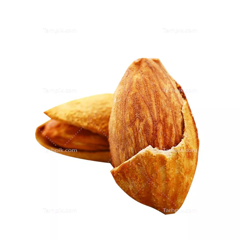 سایر تصاویر