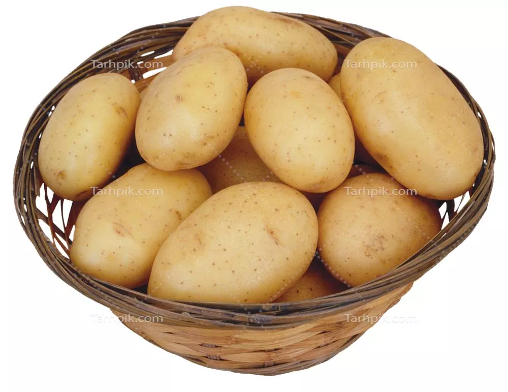 سایر تصاویر