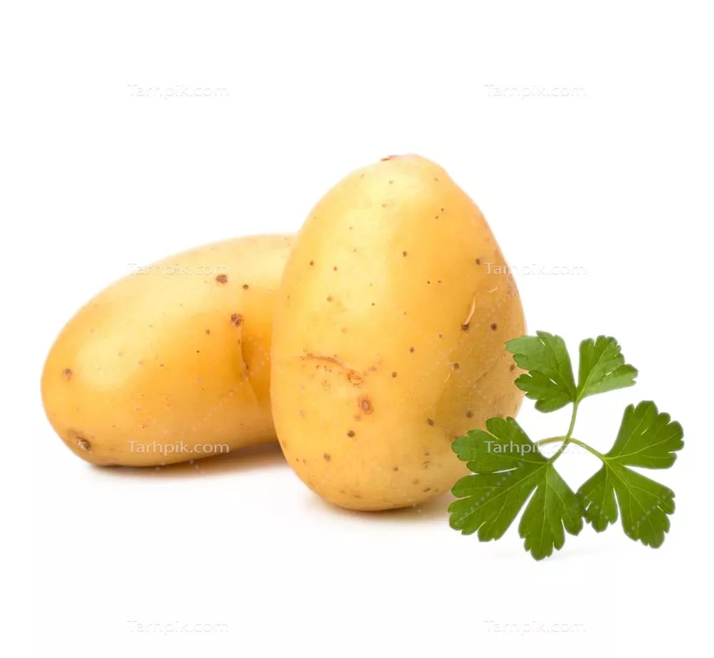 سایر تصاویر