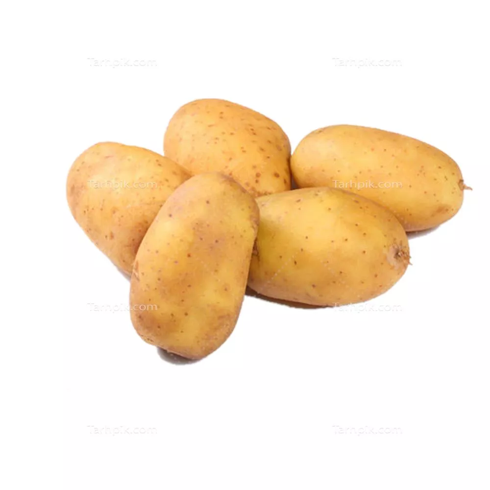 سایر تصاویر