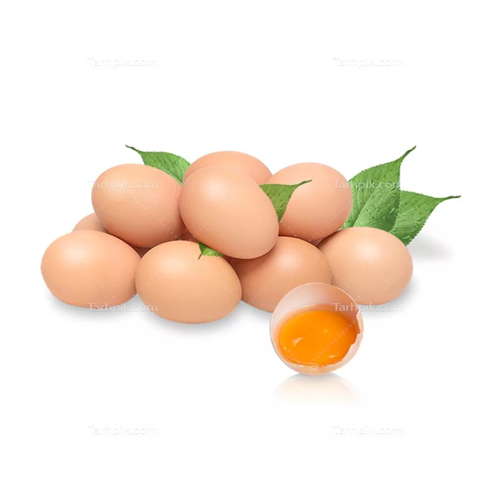 عکس دوربری تخم مرغ تغذیه مقوی