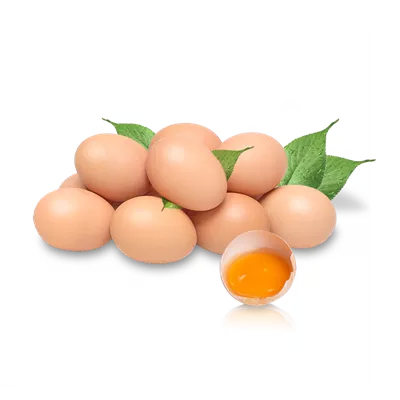 عکس دوربری تخم مرغ تغذیه مقوی