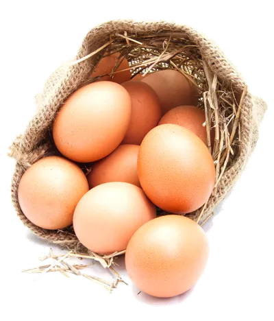 عکس دوربری کیسه پر از تخم مرغ