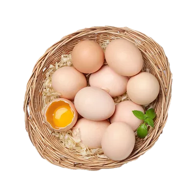 عکس دوربری تخم مرغ سالم و شکسته در سبد