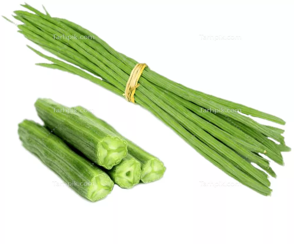 عکس دوربری شده چوب طبل سبزی
