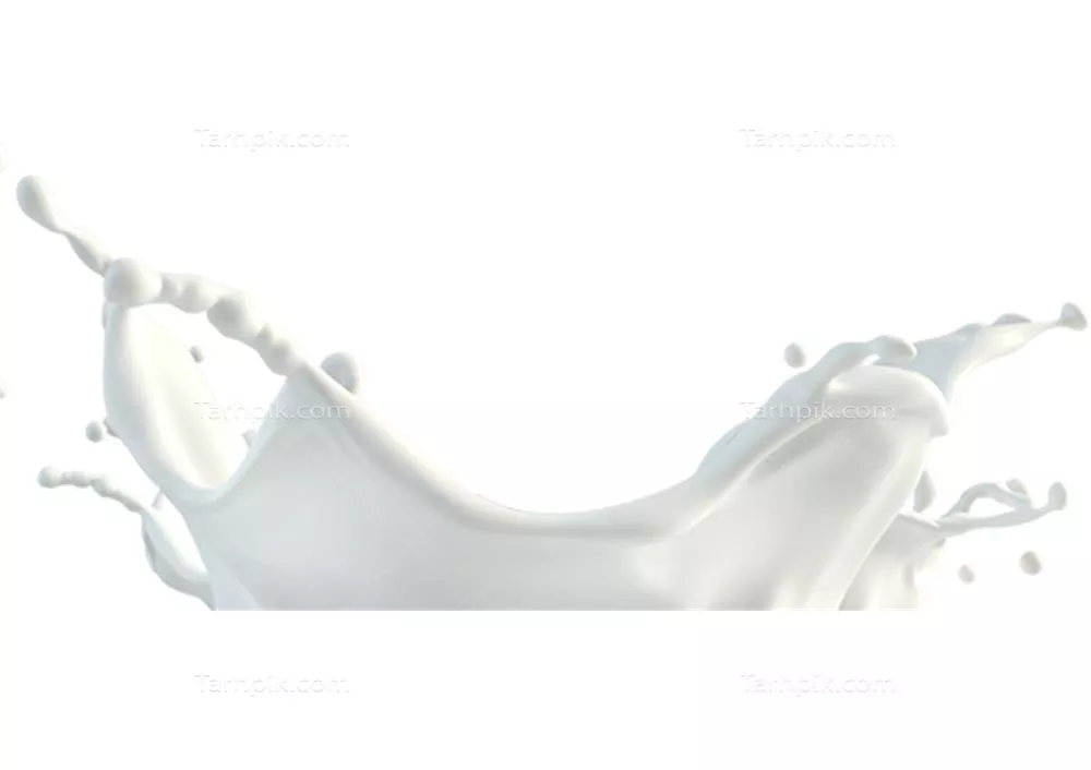 عکس دوربری شده اثر شیر