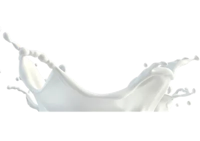 عکس دوربری شده اثر شیر