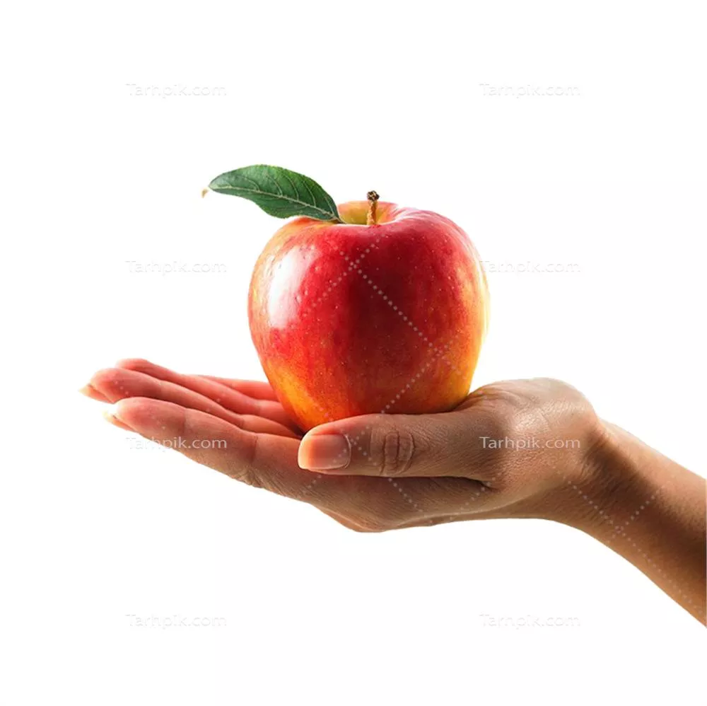 سایر تصاویر