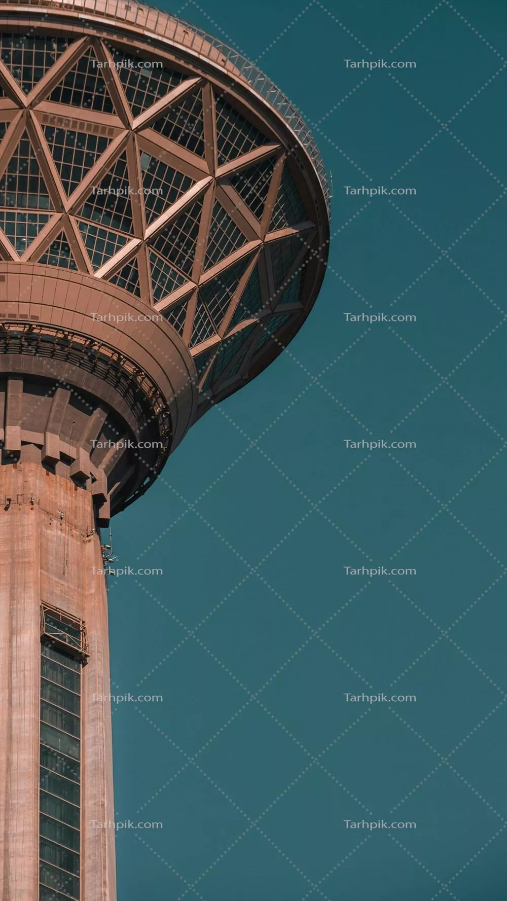 سایر تصاویر