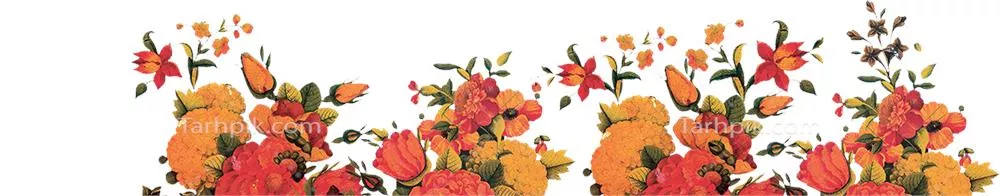 عکس دوربری گل های اسلیمی