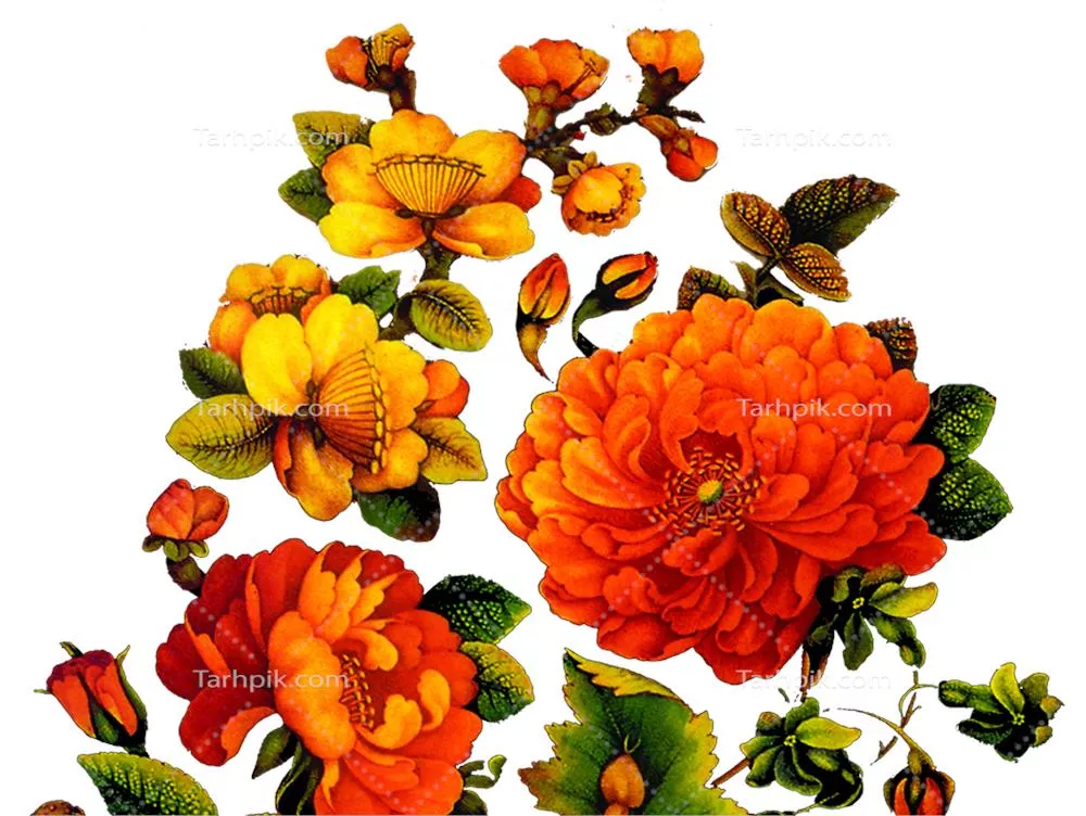 عکس دوربری شده دسته گل اسلیمی