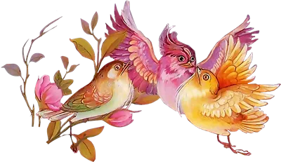 عکس دوربری شده مرغ های اسلیمی