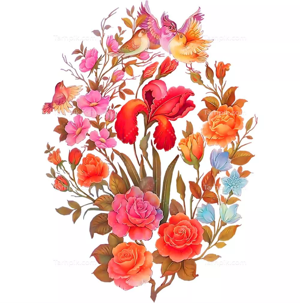 سایر تصاویر