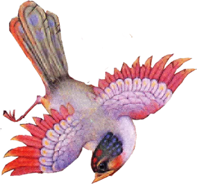 عکس دوربری شده مرغ زیبای اسلیمی