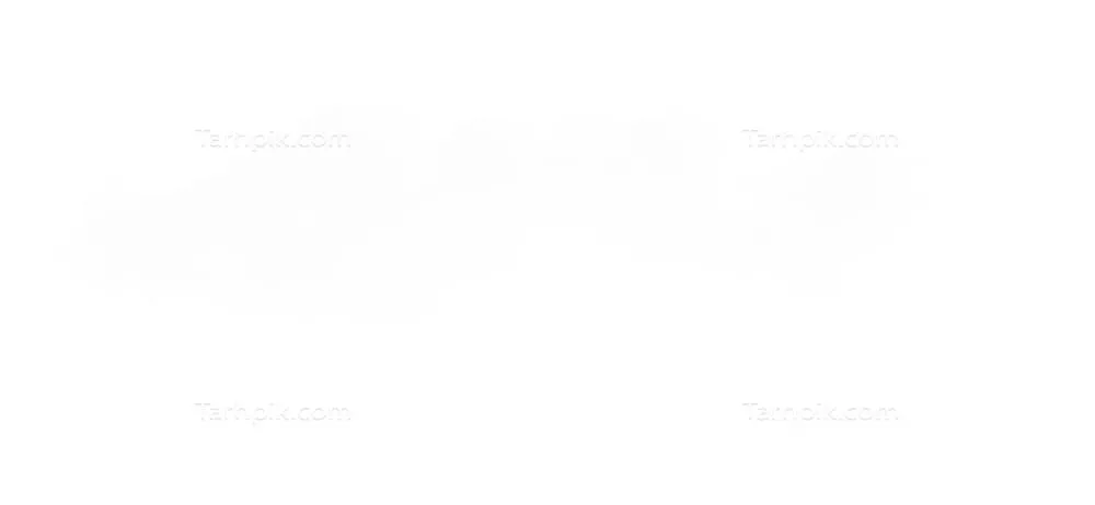 سایر تصاویر
