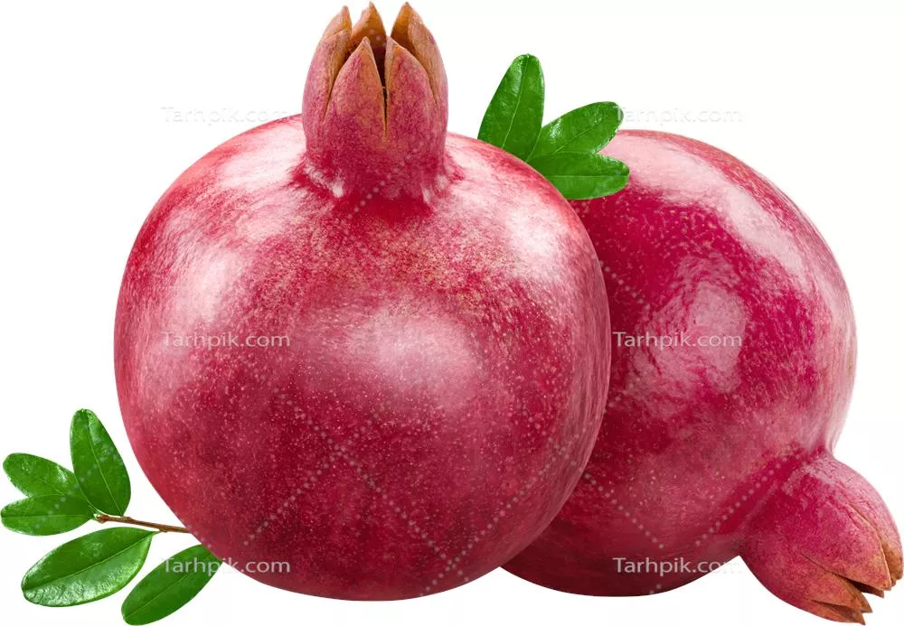 سایر تصاویر