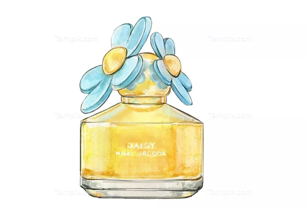 عکس دوربری نقاشی عطر شنل