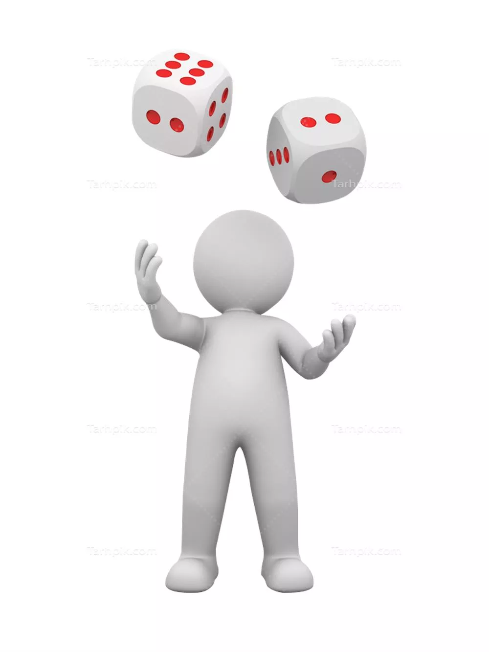 سایر تصاویر