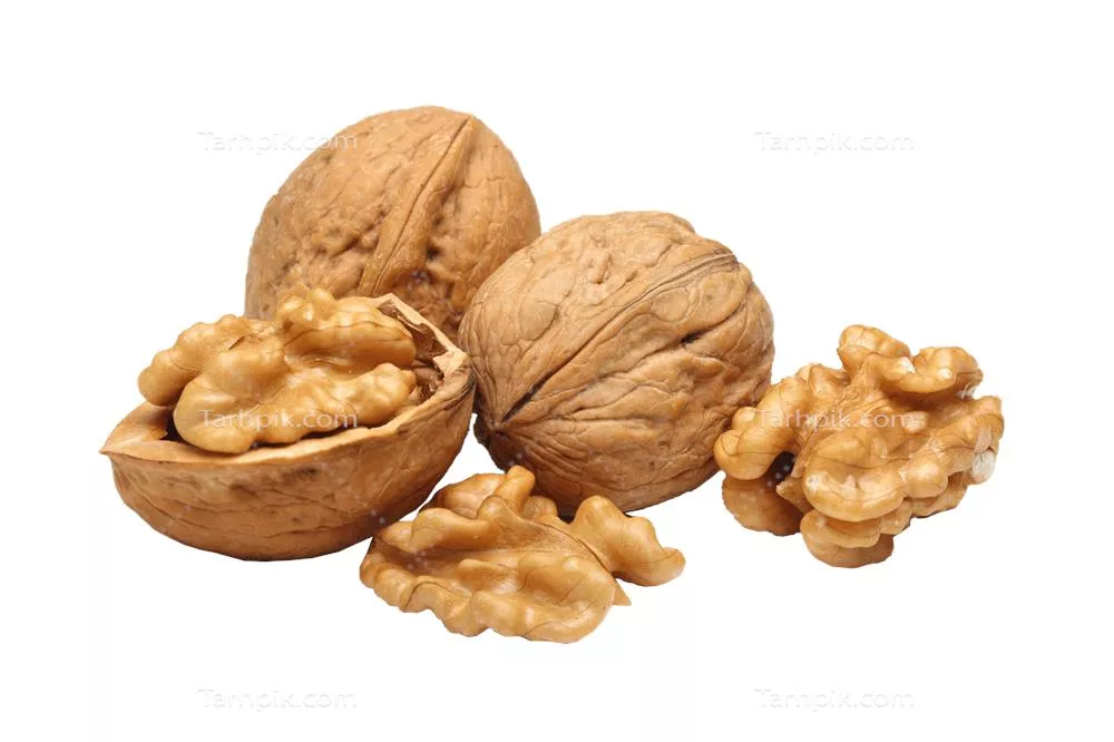 عکس دوربری شده گردو و مغز گردو