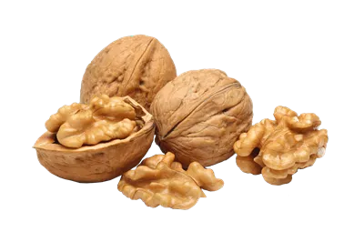 عکس دوربری شده گردو و مغز گردو